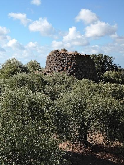 Al via i lavori sulle strade rurali 