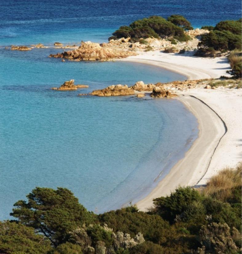 La spiaggia del Cavalieri a Budelli chiusa a metà: sbarcheranno 300 persone al giorno 