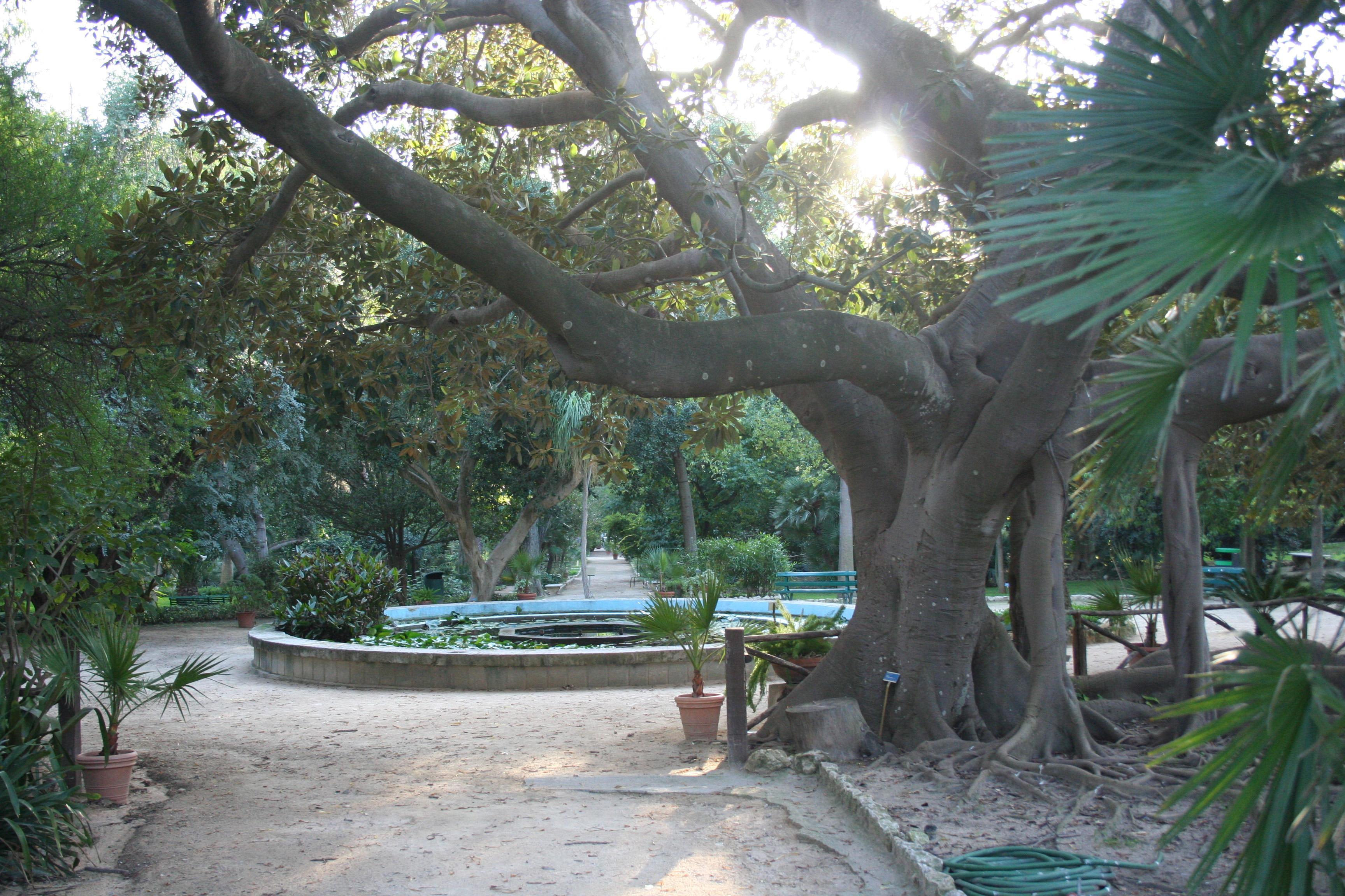 L'Orto botanico di Cagliari