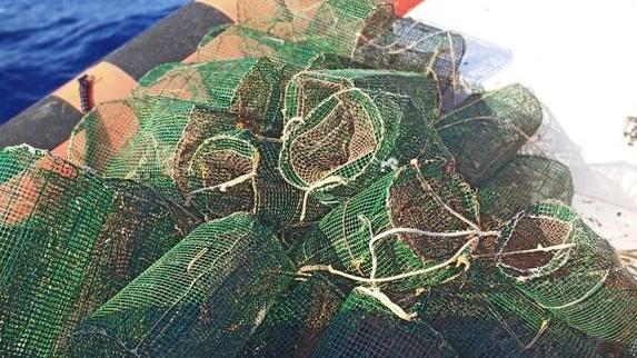 Sequestrate 31 nasse messe illegalmente nel mare di Pianosa
