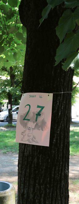Non abbattete quei 75 alberi C’è in ballo un pensiero nuovo 