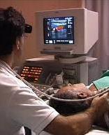 Esposto in Procura: «Negati i diritti alle cure» 