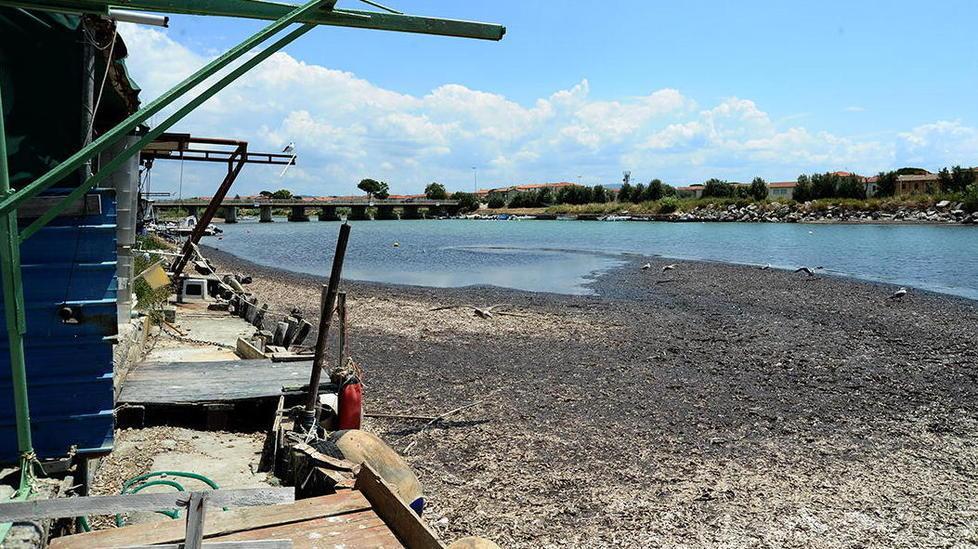 Una foto del fiume e, in lontananza, del ponte di via Volterra scattata dalla foce (foto di Michele Falorni/Silvi)