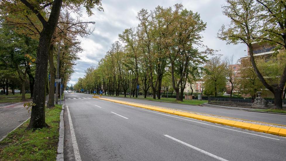 Reggio Emilia, sale la tensione su viale Umberto I: il Comitato diserta l’incontro pubblico