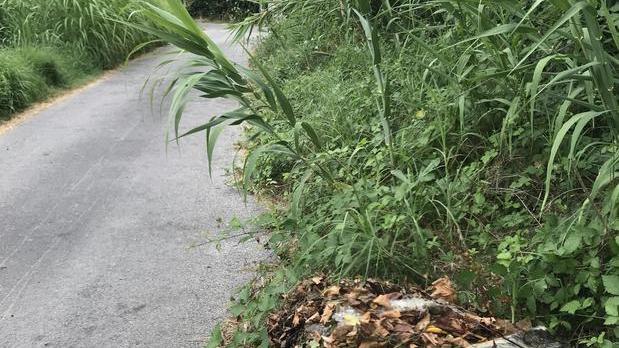 Sos dei residenti «La nostra via Emilia dimenticata da tutti»