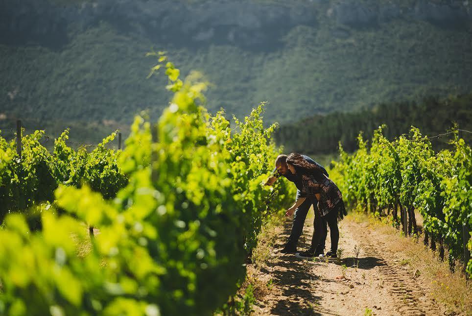 Dorgali, tour tra i luoghi del Cannonau 