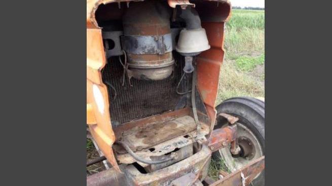 Longastrino, azienda agricola Bersani nel mirino di ladri e vandali: «La situazione è grave»