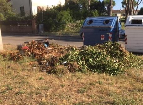 Erbacce, rifiuti e degrado sulle strade di Vada 