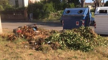 Erbacce, rifiuti e degrado sulle strade di Vada
