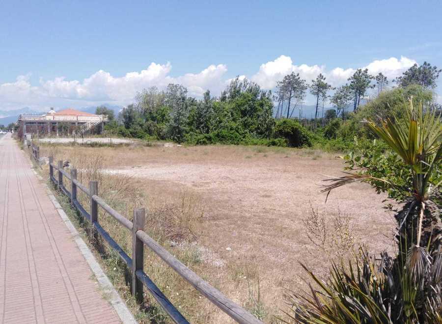 Passa a gestione Mover il parcheggio del locale richiesto dal Tacabanda