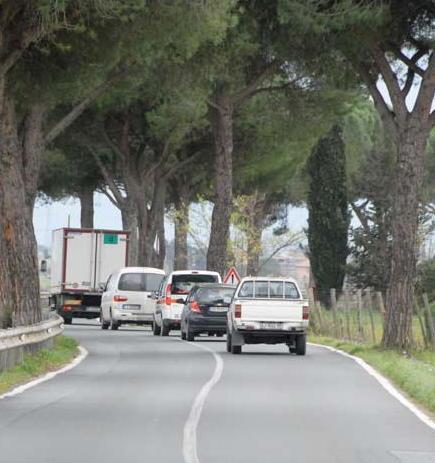 Al via una petizione: «Mettete in sicurezza la strada statale 398» 