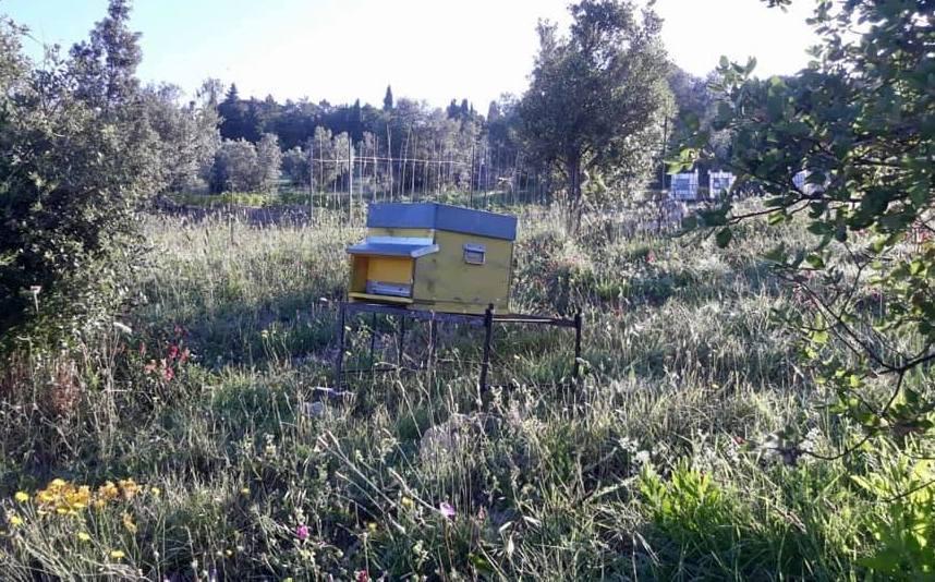 La casa delle api nell’orto condiviso