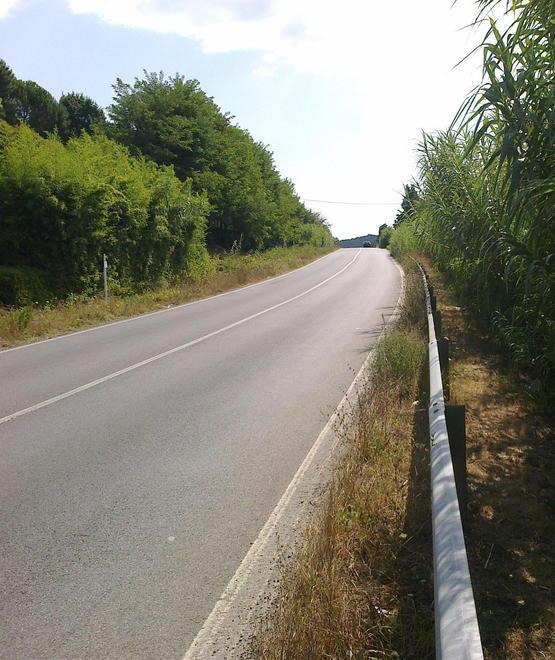 Strada 436, c’è l’intesa per l’ampliamento 