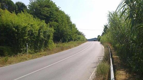 Strada 436, c’è l’intesa per l’ampliamento