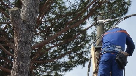 Nuove linee elettriche tra via della Costituzione e via Livornese di Sotto