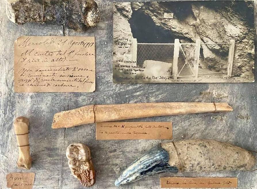 Al Museo di Equi Terme consegnati reperti ossei 