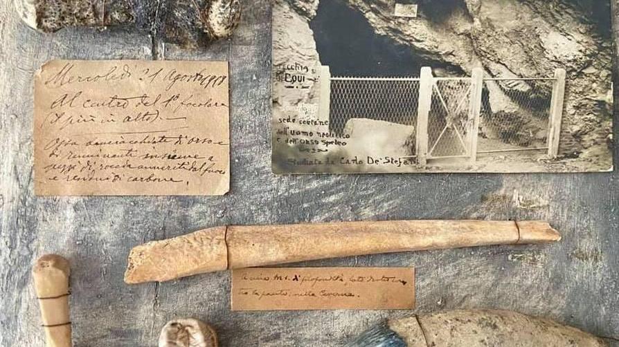 Al Museo di Equi Terme consegnati reperti ossei