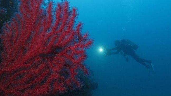 Nicola, l’ex ragazzino di viale Elba si immergerà nei fondali dell’Alaska