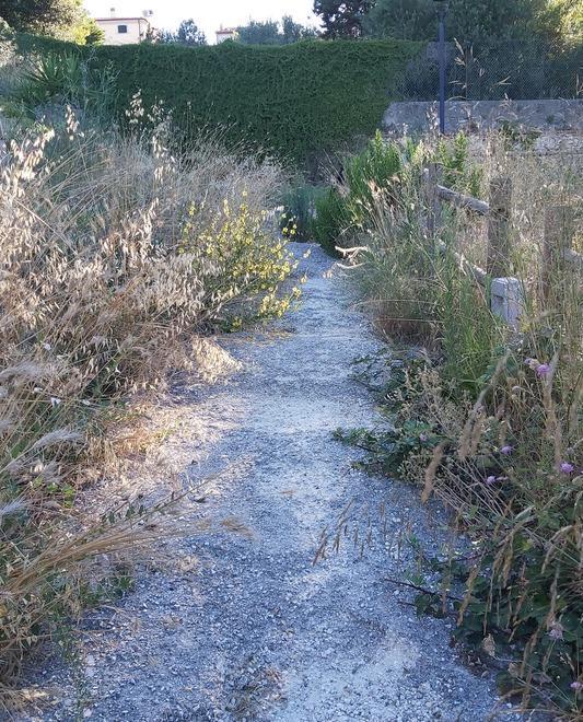 Erba alta e rifiuti abbandonati al parco della Rimembranza di Marittimo