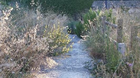Erba alta e rifiuti abbandonati al parco della Rimembranza di Marittimo
