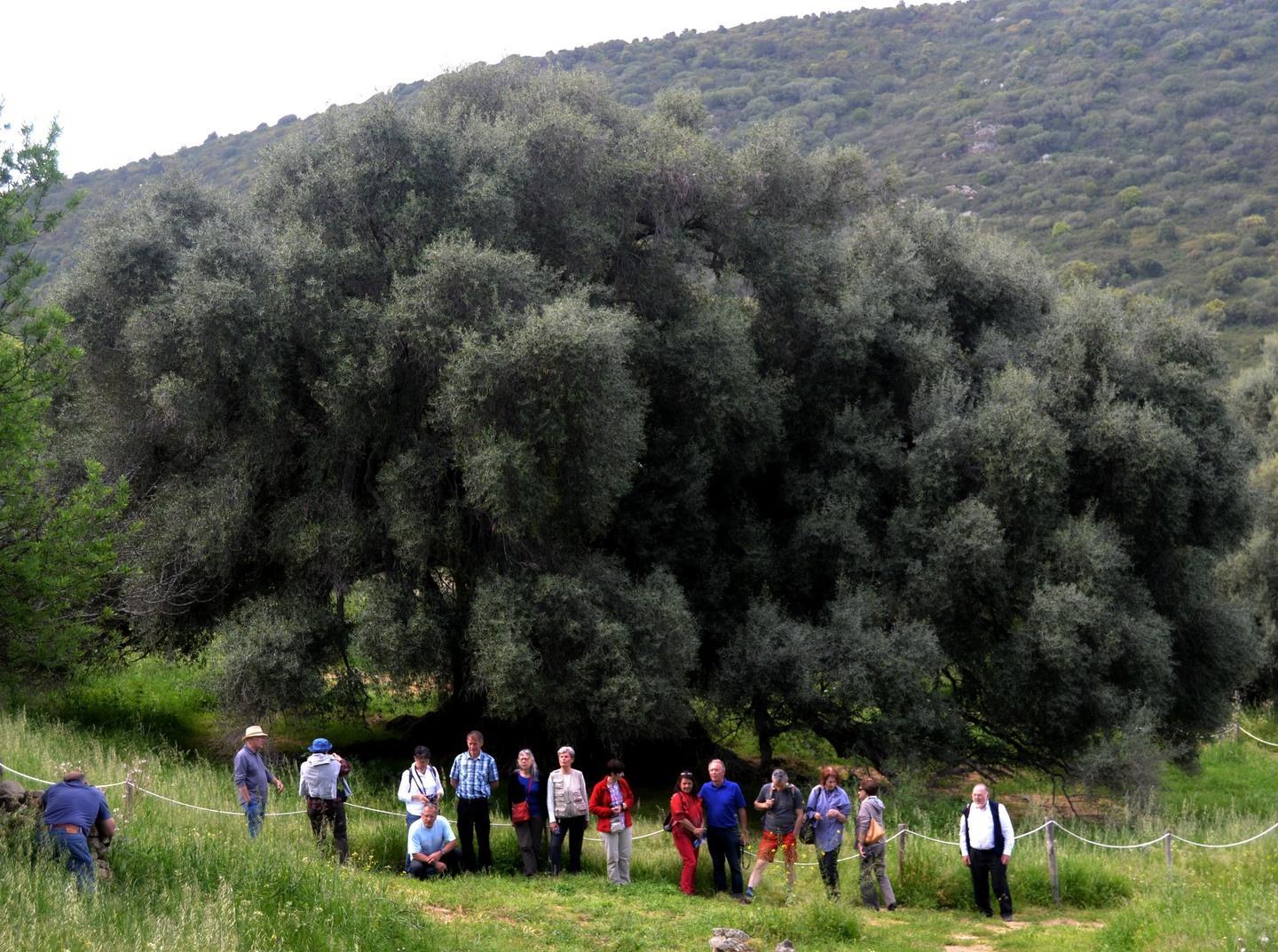 Calangianus e Luras nel libro che racconta i borghi più belli d’Italia