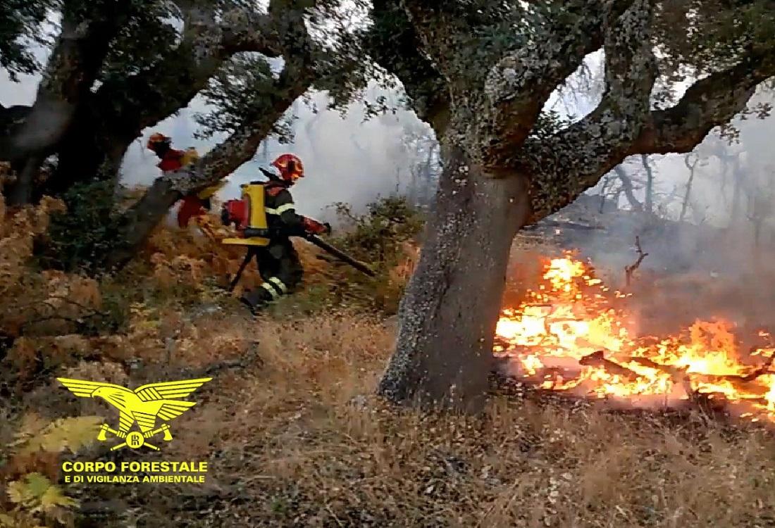 I vigili del fuoco nella campagna di Curraggia