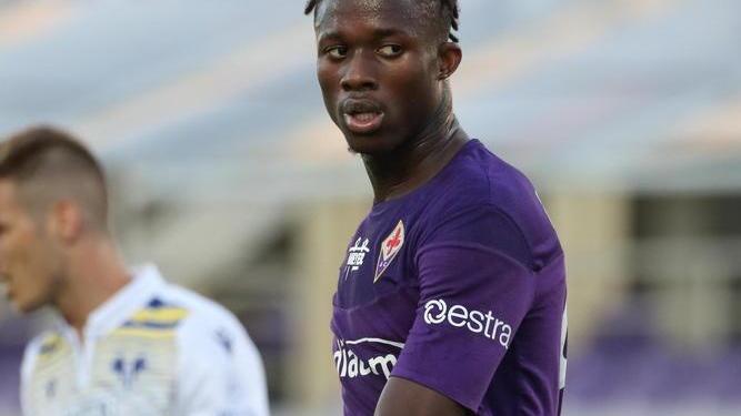 Due gol al Toro, Viola in salvo