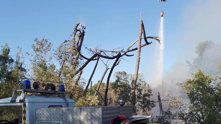 Un altro incendio nella pineta della Lecciona