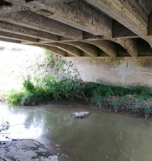 «Il ponte non è a rischio ma serve manutenzione» 