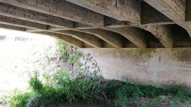 «Il ponte non è a rischio ma serve manutenzione»