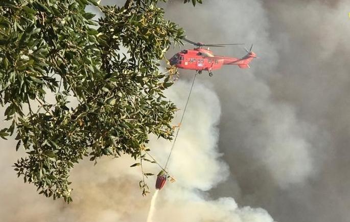 L’isola continua a bruciare: scoppiati 13 incendi 