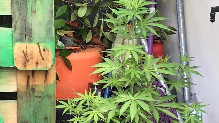 Reggio Emilia, spaccia in città agli studenti minorenni: denunciato un 30enne di Gualtieri