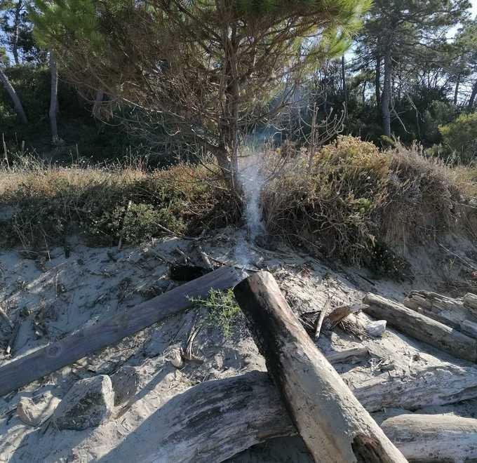 Falò abusivo sulla duna con legna messa a proteggerla 