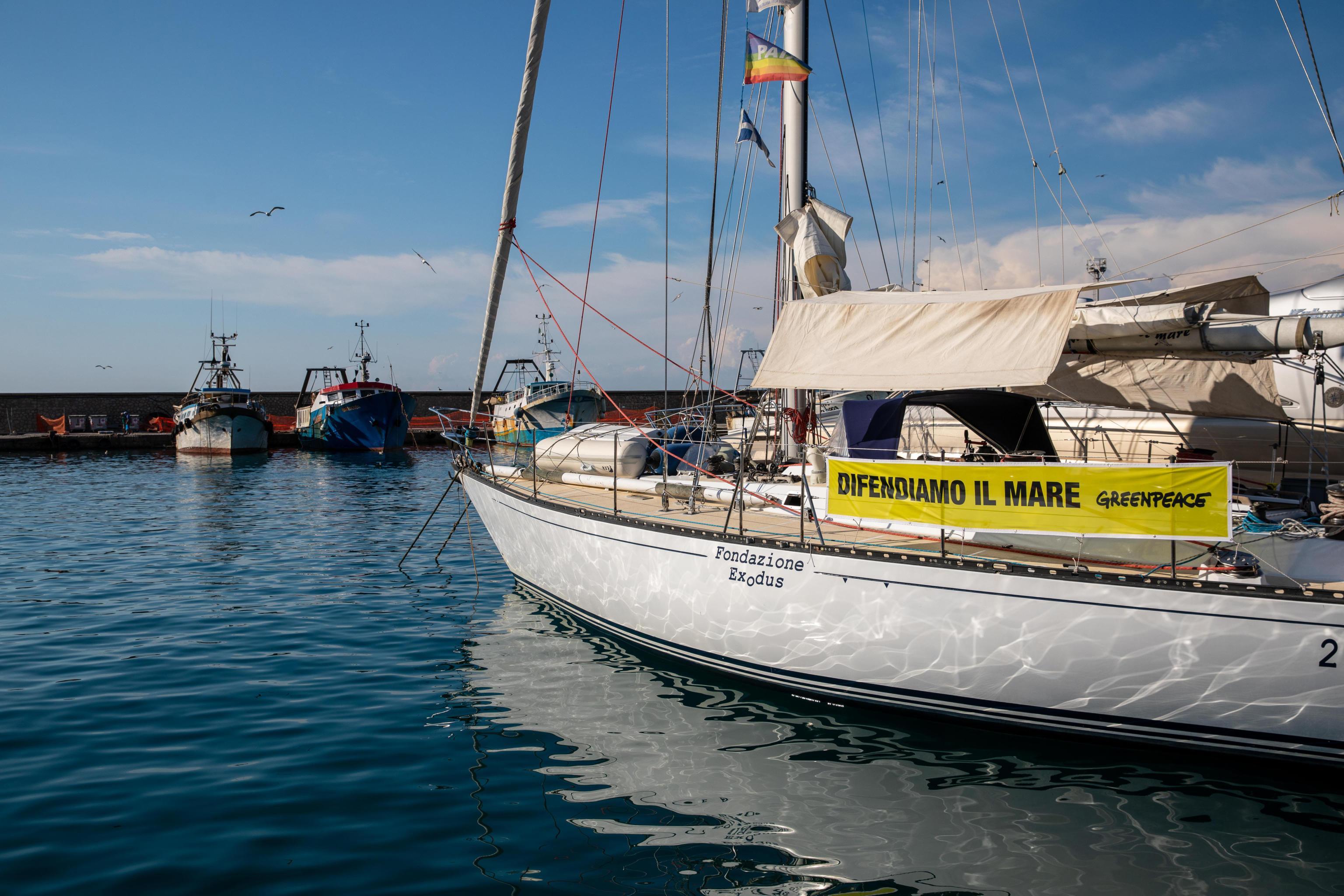 Il 35 per cento dei pesci del Mediterraneo ha ingerito microplastiche 