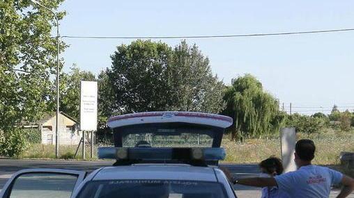 Lasciano il cane in auto per ore: muore durante il trasporto in clinica