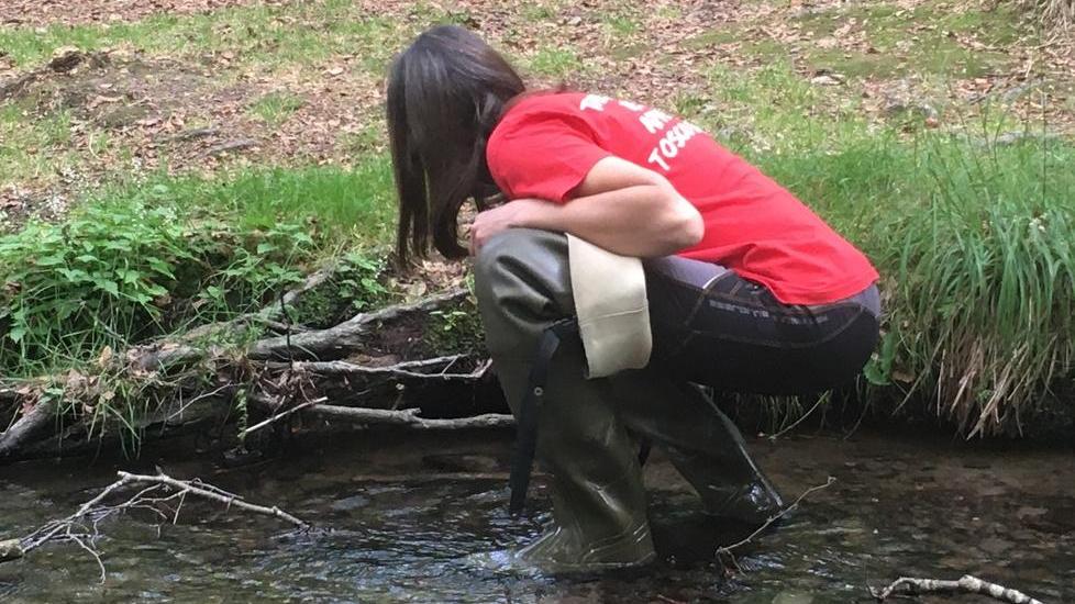 Un progetto scientifico per il gambero di fiume a rischio di estinzione