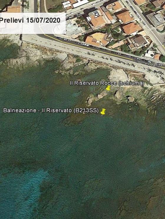 Alghero, l'alga tossica segnalata dalla schiuma 