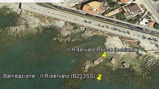 Alghero, l'alga tossica segnalata dalla schiuma
