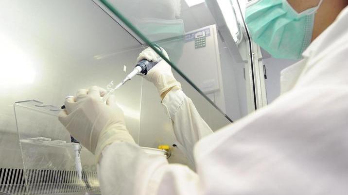 Sarà il Dna a fare chiarezza sulla vicenda