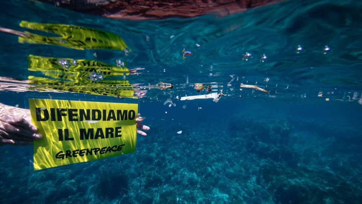 Sette pesci su dieci dell'Arcipelago contaminati da plastica e pezzi di tessuti