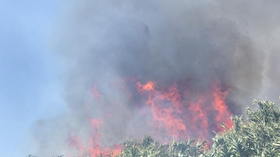 Incendio doloso a Settimo San Pietro: bruciati un bosco di eucalipti, alberi di olivo e macchia mediterranea