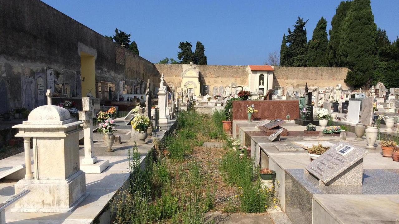 Incuria e sporco al cimitero di Cecina, i parenti puliscono i vialetti