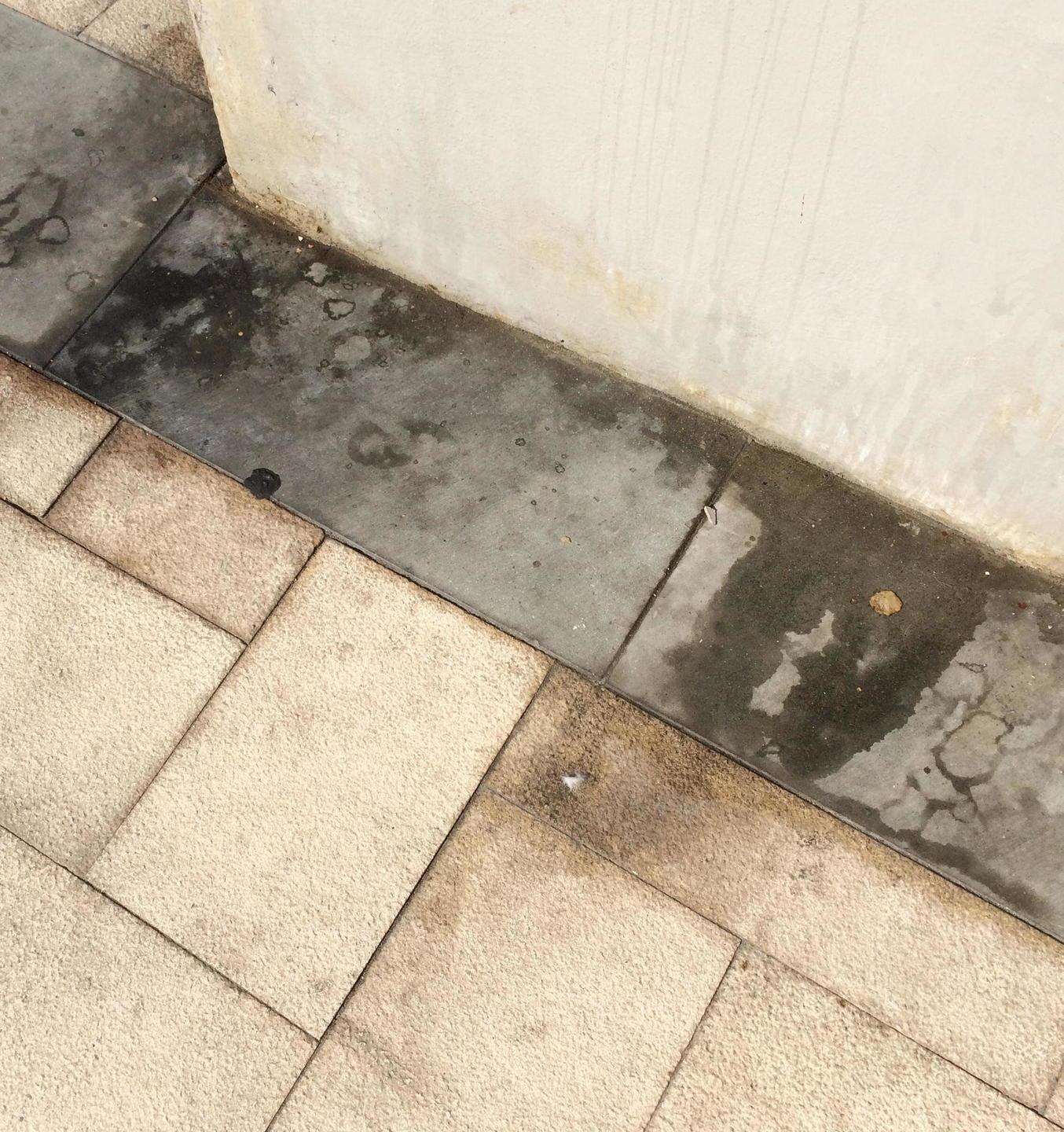 Padroni maleducati nel centro di Cecina, commercianti infuriati 