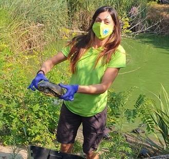 Trasferite in un’oasi Wwf una trentina di tartarughe palustri abbandonate in città 