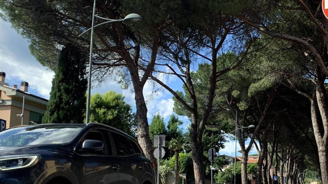 «Perché i lavori previsti lungo via Sardegna sono fermi al palo?»
