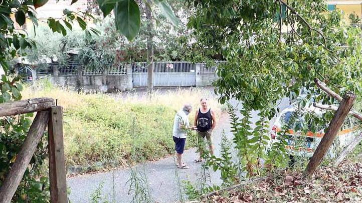 Si staccò il recinto e morì, condannato il gestore del parco