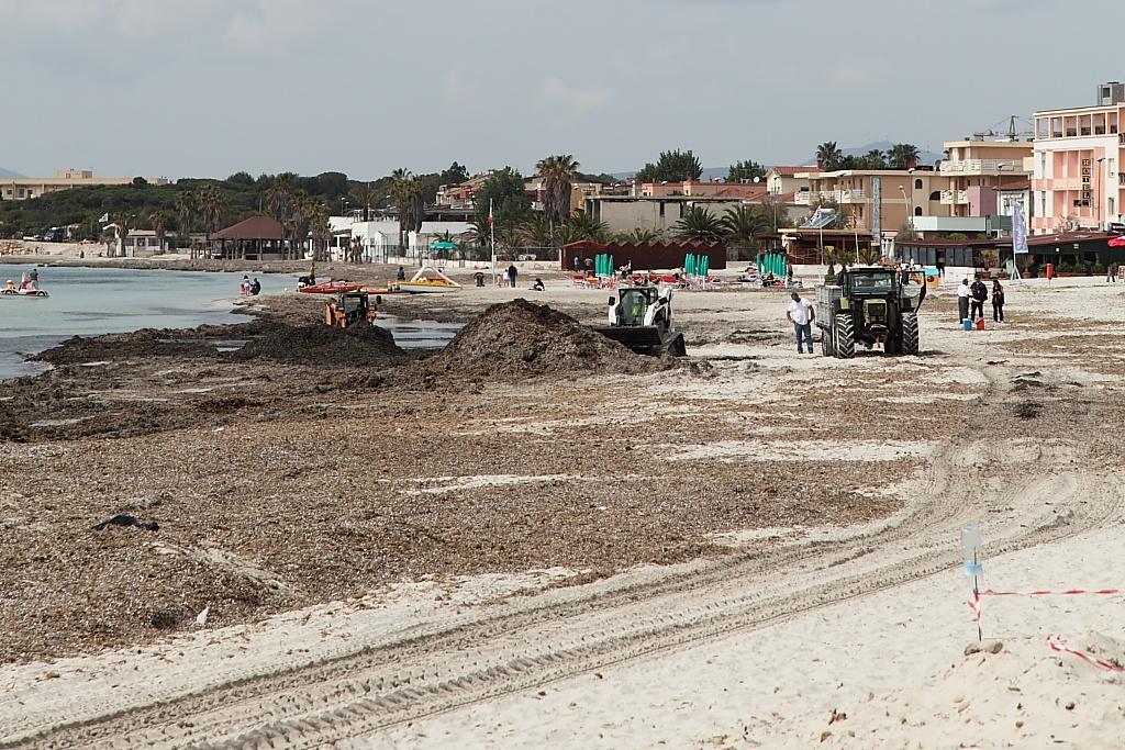 Ruspe in spiaggia ad Alghero, immagine di repertorio