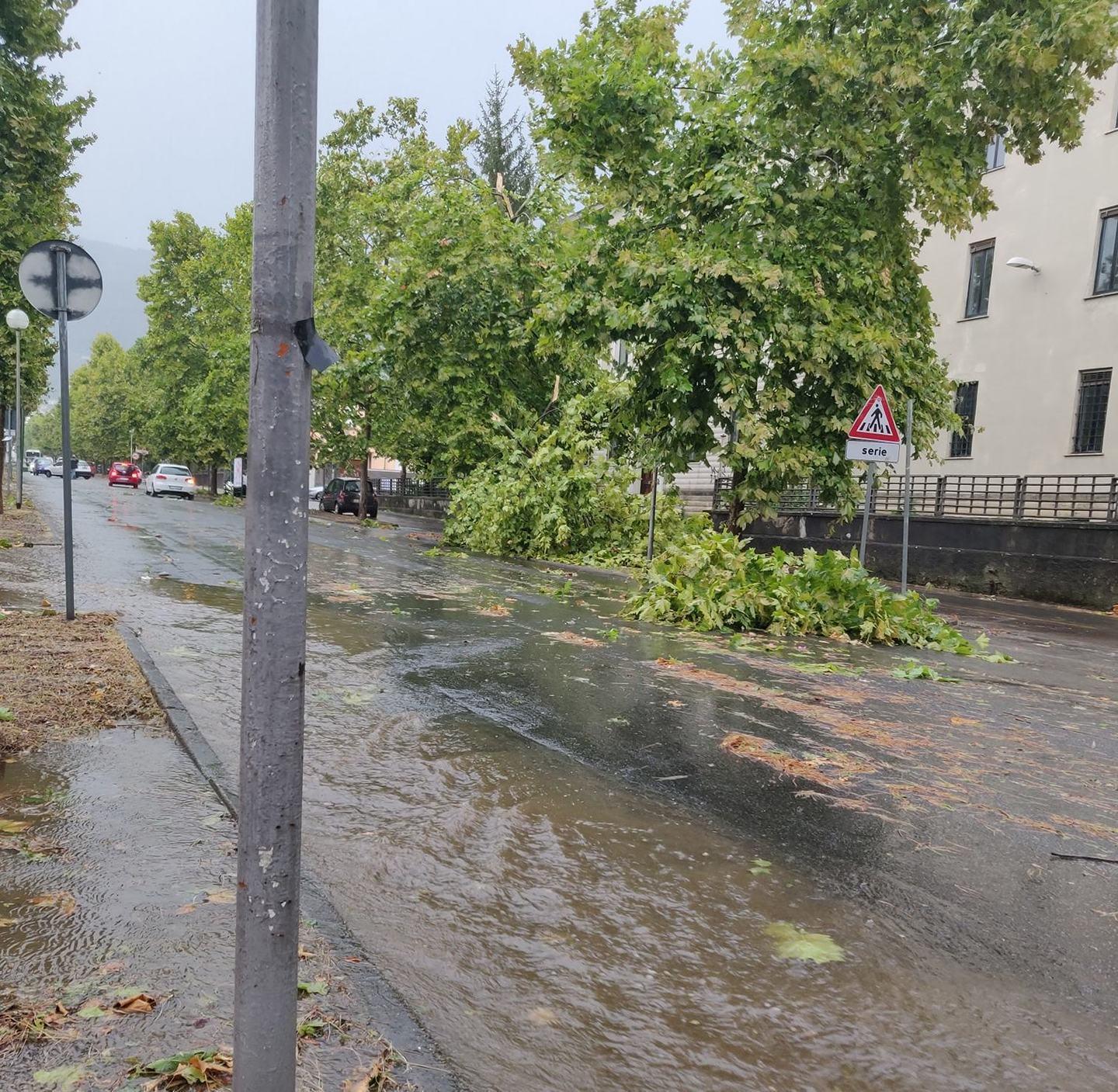 Viale Stazione a Massa