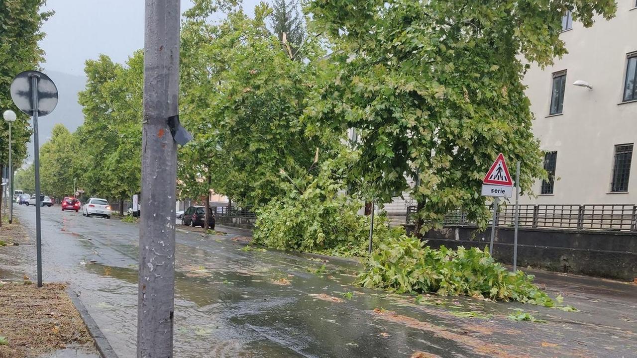 Viale Stazione a Massa
