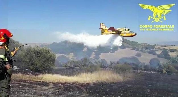 Roghi in tutta l'isola: incendi grossi a Sassari, Pula, Oniferi e Villaspeciosa